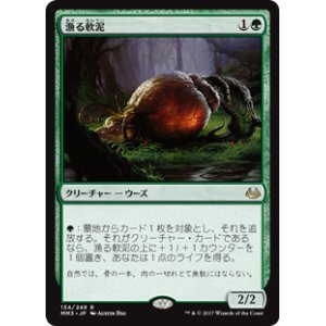 画像: $FOIL$(MM3-RG)Scavenging Ooze/漁る軟泥(JP,EN)