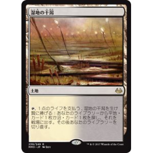 画像: $FOIL$(MM3-RL)Marsh Flats/湿地の干潟(JP,EN)