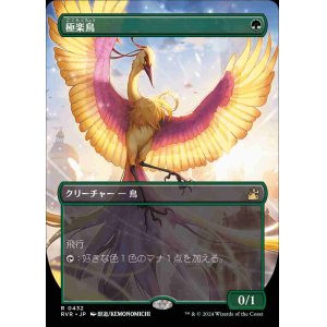 画像: 【ボーダーレス】(RVR-RG)Birds of Paradise/極楽鳥【No.0432】(日,JP)