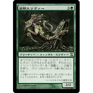 画像: 【Foil】(TSP-RG)Fungus Sliver/菌類スリヴァー(日,JP)