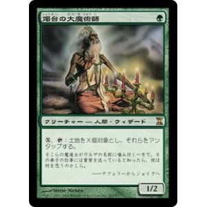 画像: 【Foil】(TSP-RG)Magus of the Candelabra/燭台の大魔術師(日,JP)