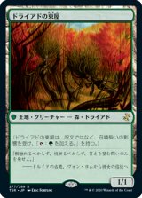 画像: 【Foil】(TSR-RG)Dryad Arbor/ドライアドの東屋(日,JP)