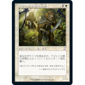 画像: 【Foil】(TSR-TW)Ajani's Pridemate/アジャニの群れ仲間(日,JP)