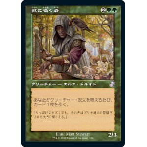 画像: 【Foil】(TSR-TG)Beast Whisperer/獣に囁く者(日,JP)