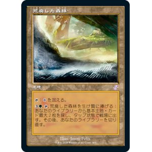 画像: 【Foil】(TSR-TL)Blighted Woodland/荒廃した森林(日,JP)