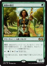 画像: 【Foil】(UMA-RG)Noble Hierarch/貴族の教主(日,JP)