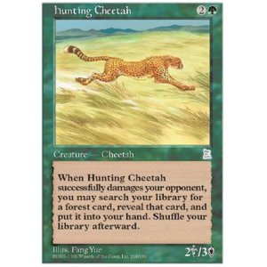 画像: (PO3-UC)Hunting Cheetah/狩りをする豹(日,中,JP,CHI)