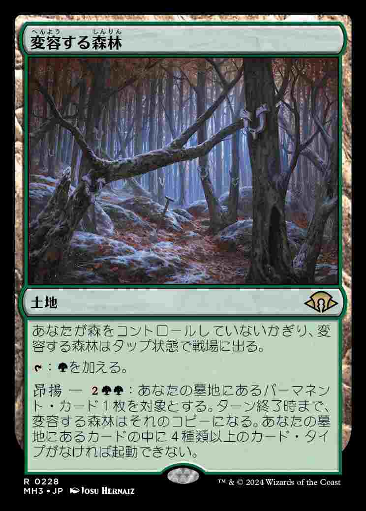 画像1: (MH3-RL)Shifting Woodland/変容する森林(英,EN)